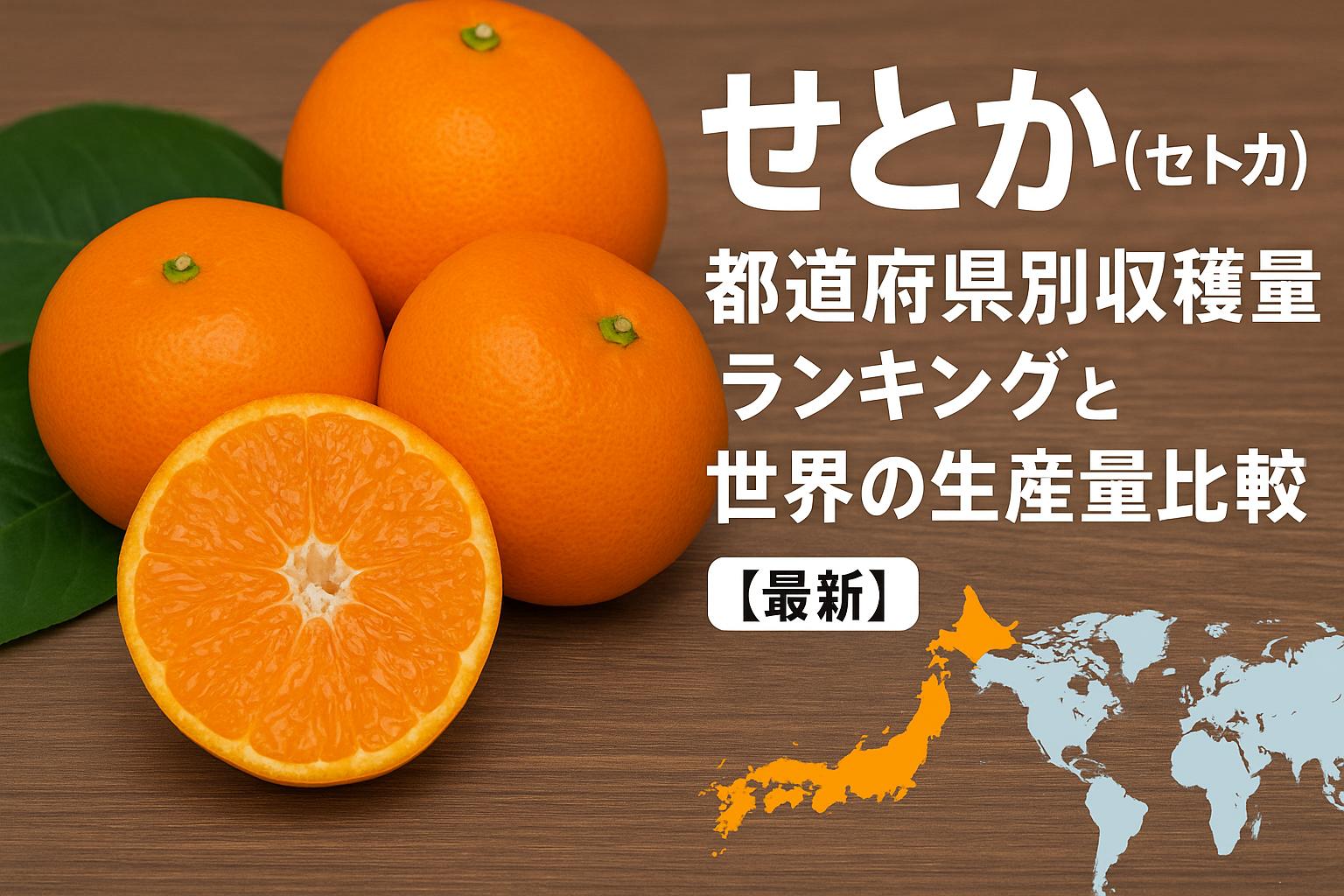 せとか（セトカ）の都道府県別収穫量ランキングと世界の生産量比較【最新】