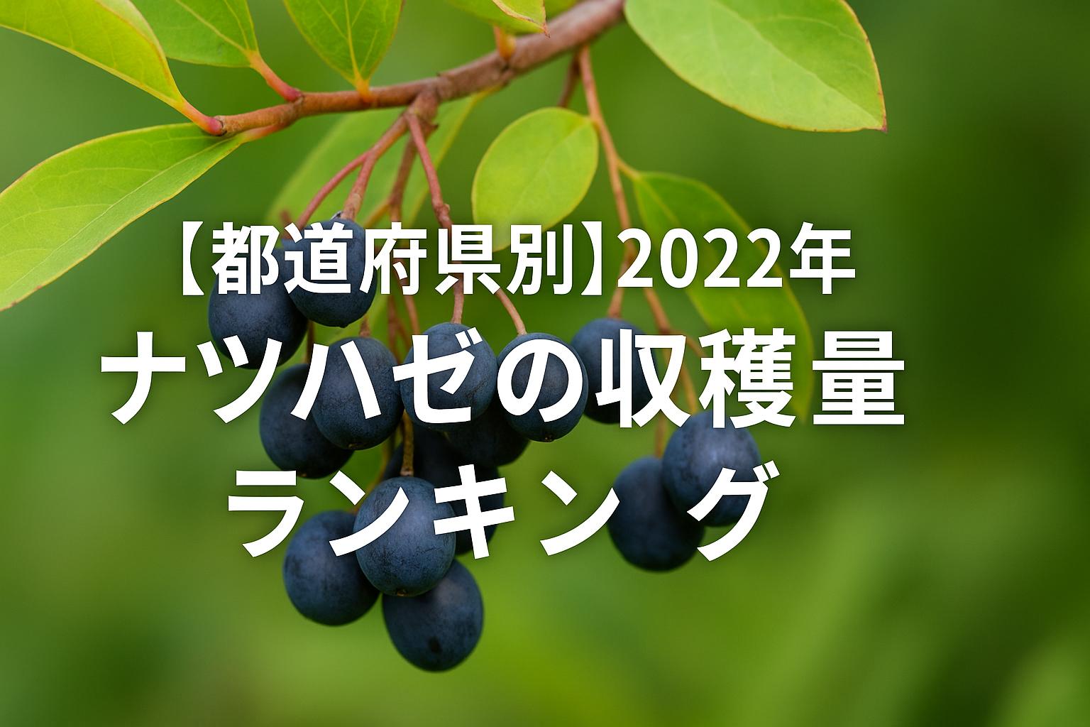 【都道府県別】2022年ナツハゼの収穫量ランキング