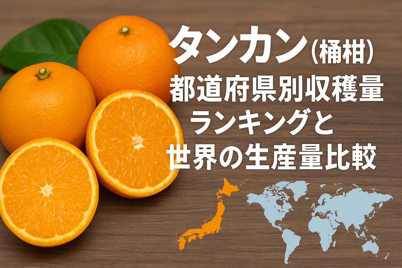 タンカン（桶柑）の都道府県別収穫量ランキングと世界の生産量比較【最新】