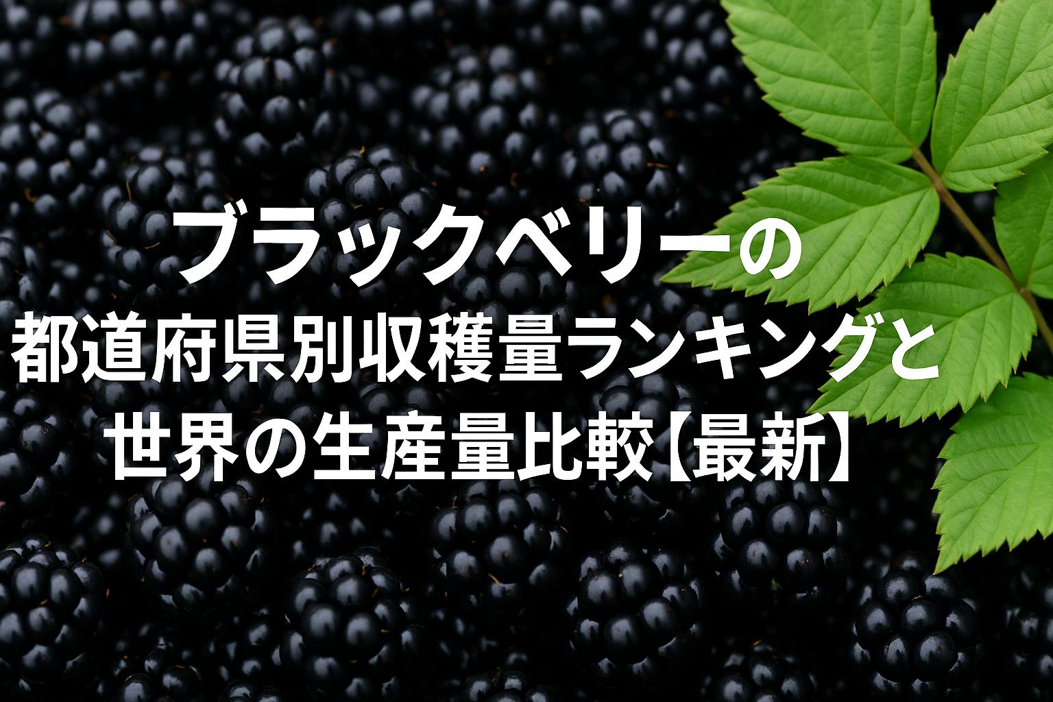 ブラックベリーの都道府県別収穫量ランキングと世界の生産量比較【最新】