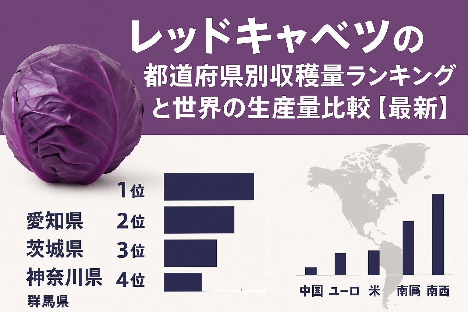 レッドキャベツの都道府県別収穫量ランキングと世界の生産量比較【最新】