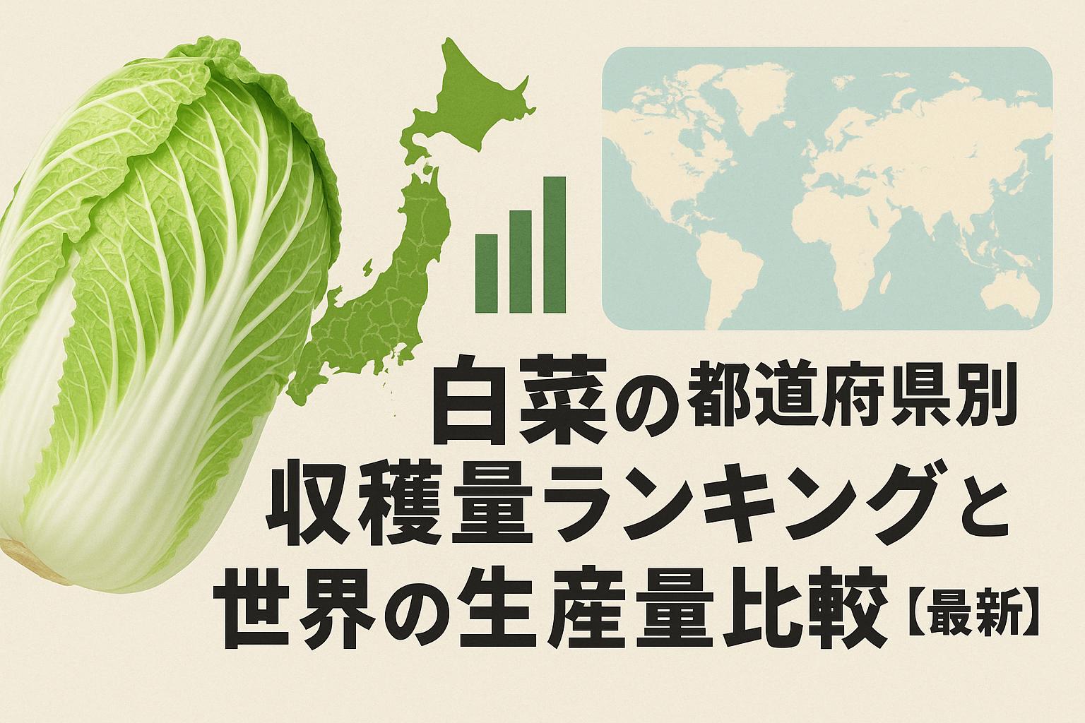 白菜の都道府県別収穫量ランキングと世界の生産量比較【最新】