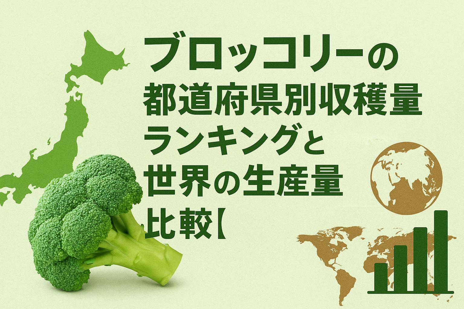 ブロッコリーの都道府県別収穫量ランキングと世界の生産量比較【最新】