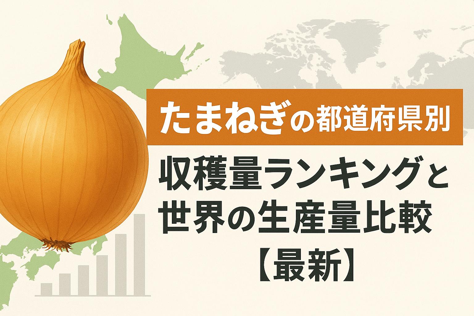 たまねぎの都道府県別収穫量ランキングと世界の生産量比較【最新】