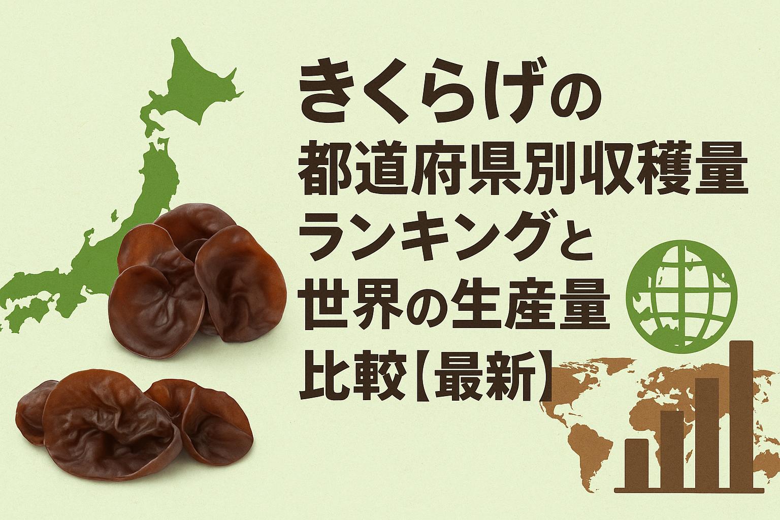 きくらげの都道府県別収穫量ランキングと世界の生産量比較【最新】